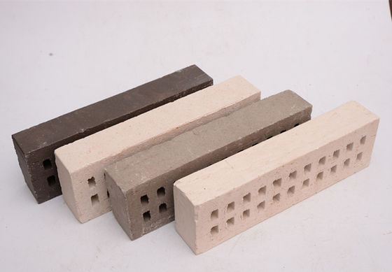 fuerza de Clay Brick Construction High Compressive del hueco del tamaño estándar de 290x90x50m m