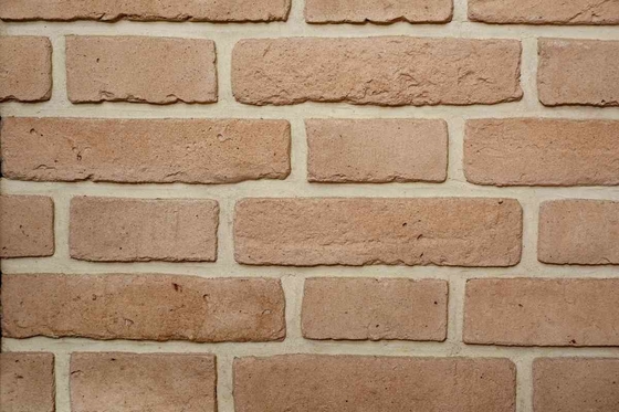 Gama superficial especial del tamaño 200x55x12m m Clay Brick For Wall Decoration de los colores interior y exterior